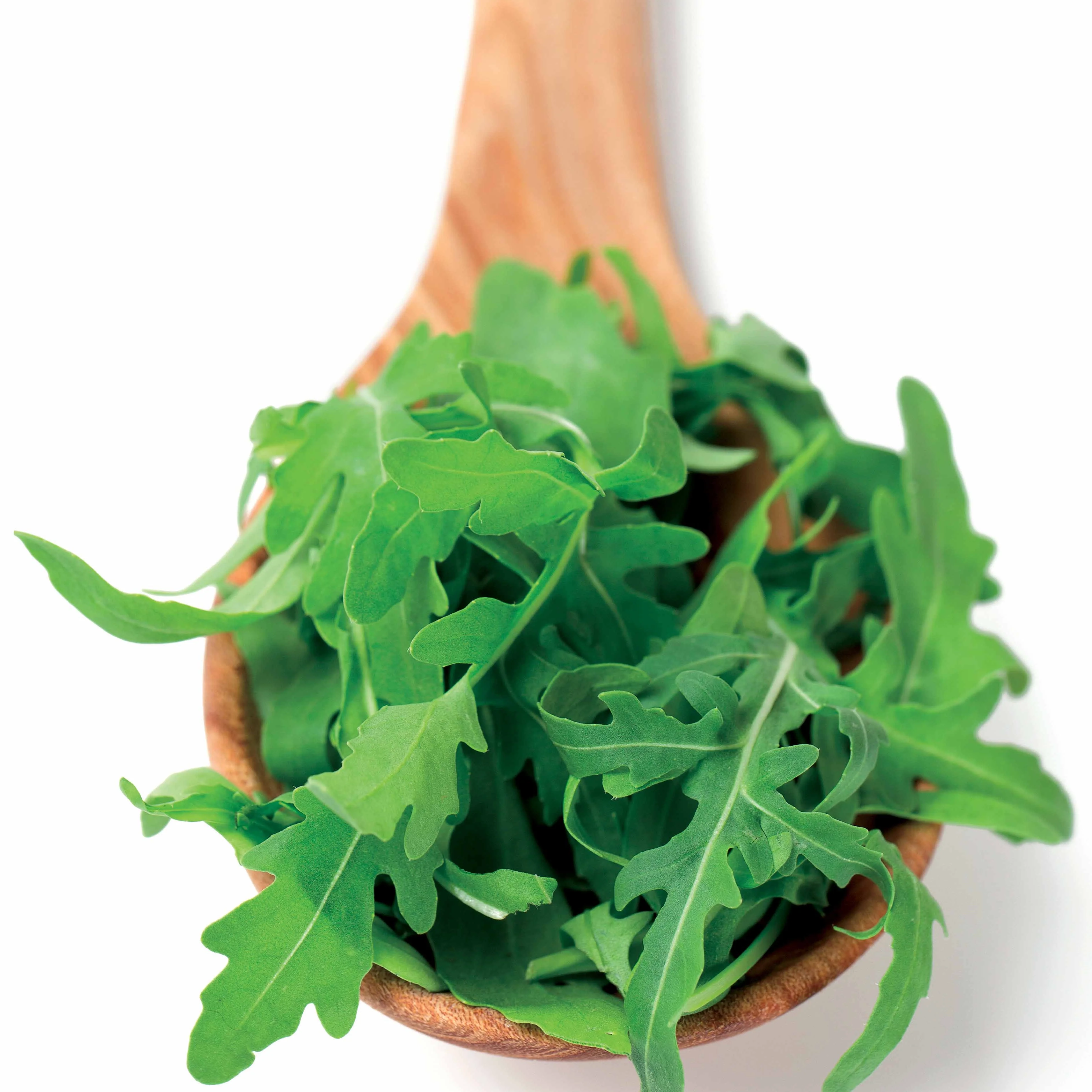 Roquette cultivée - Image 3