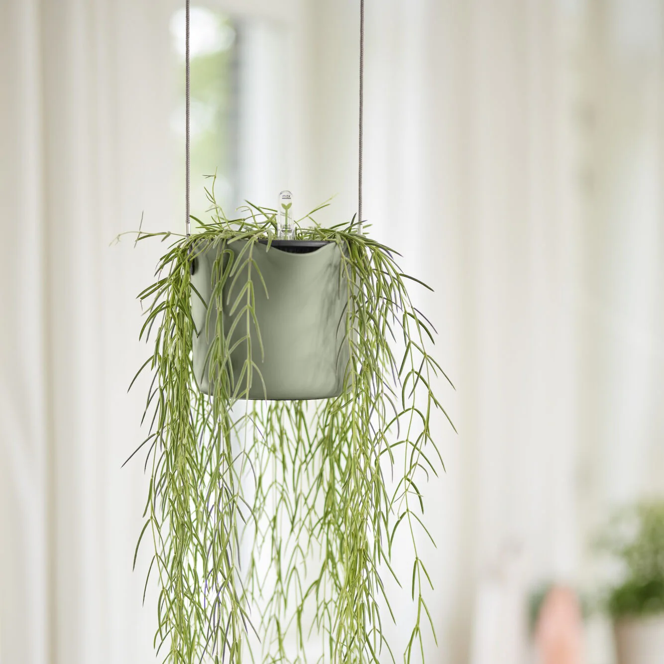 Suspension B for swing blanc ELHO - Image 7