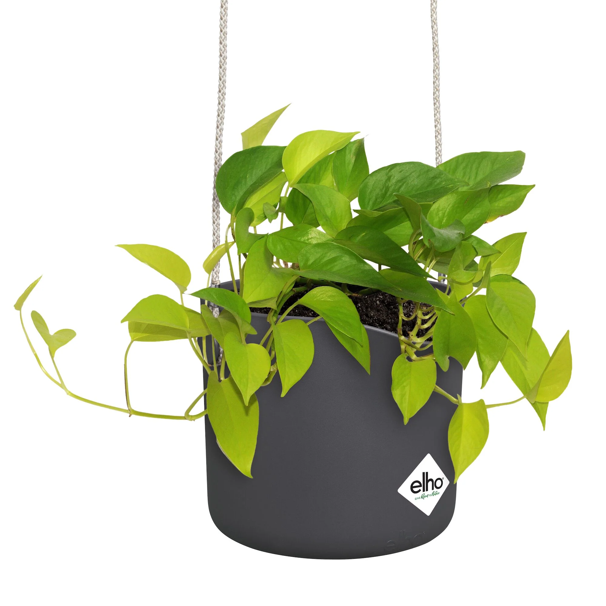 Suspension B for swing gris ELHO - Image 6
