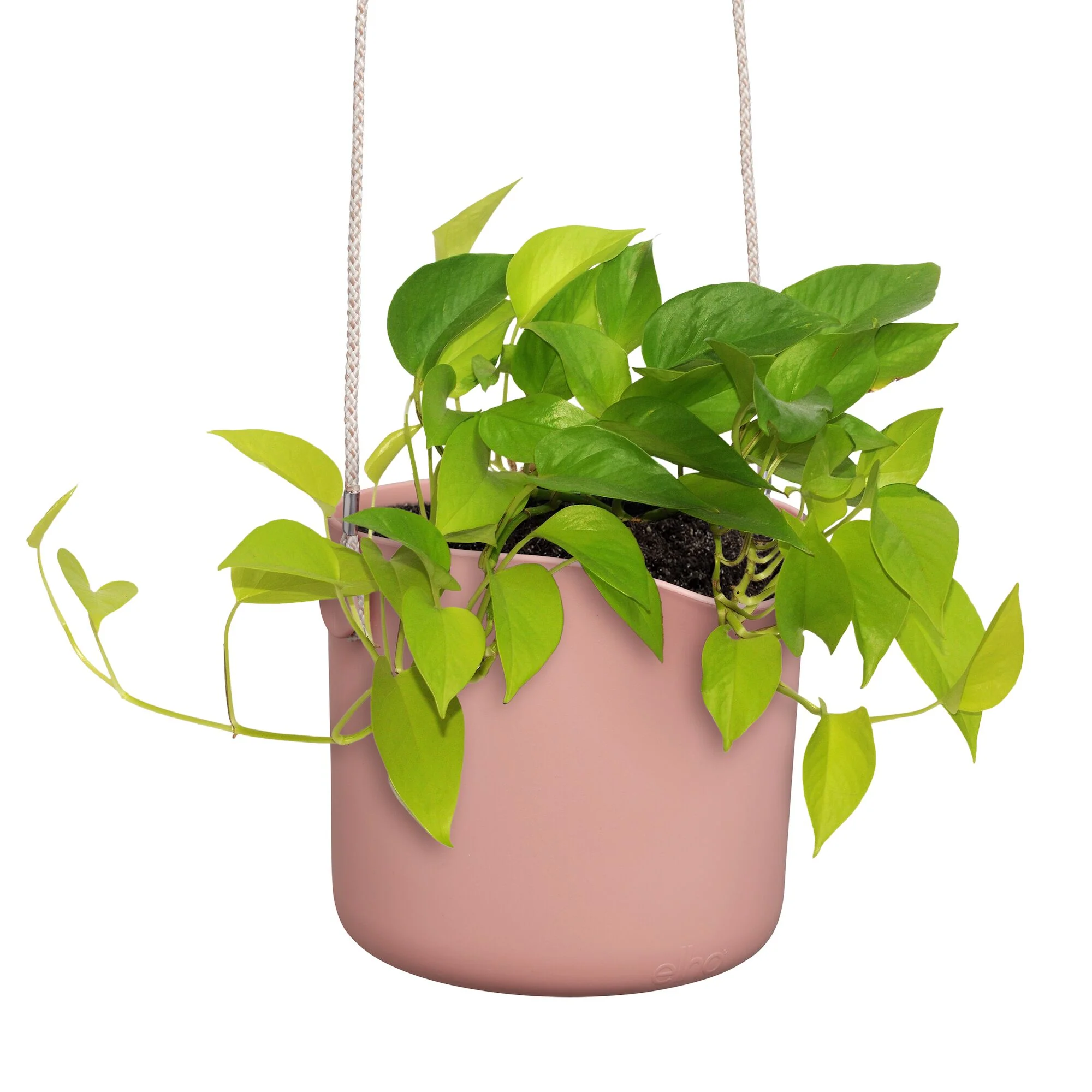 Suspension B for swing rose ELHO - Image 6