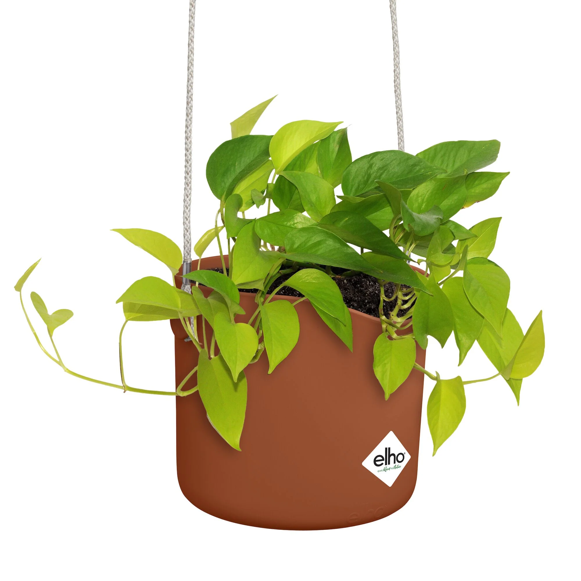 Suspension B for swing terracotta ELHO - Image 5