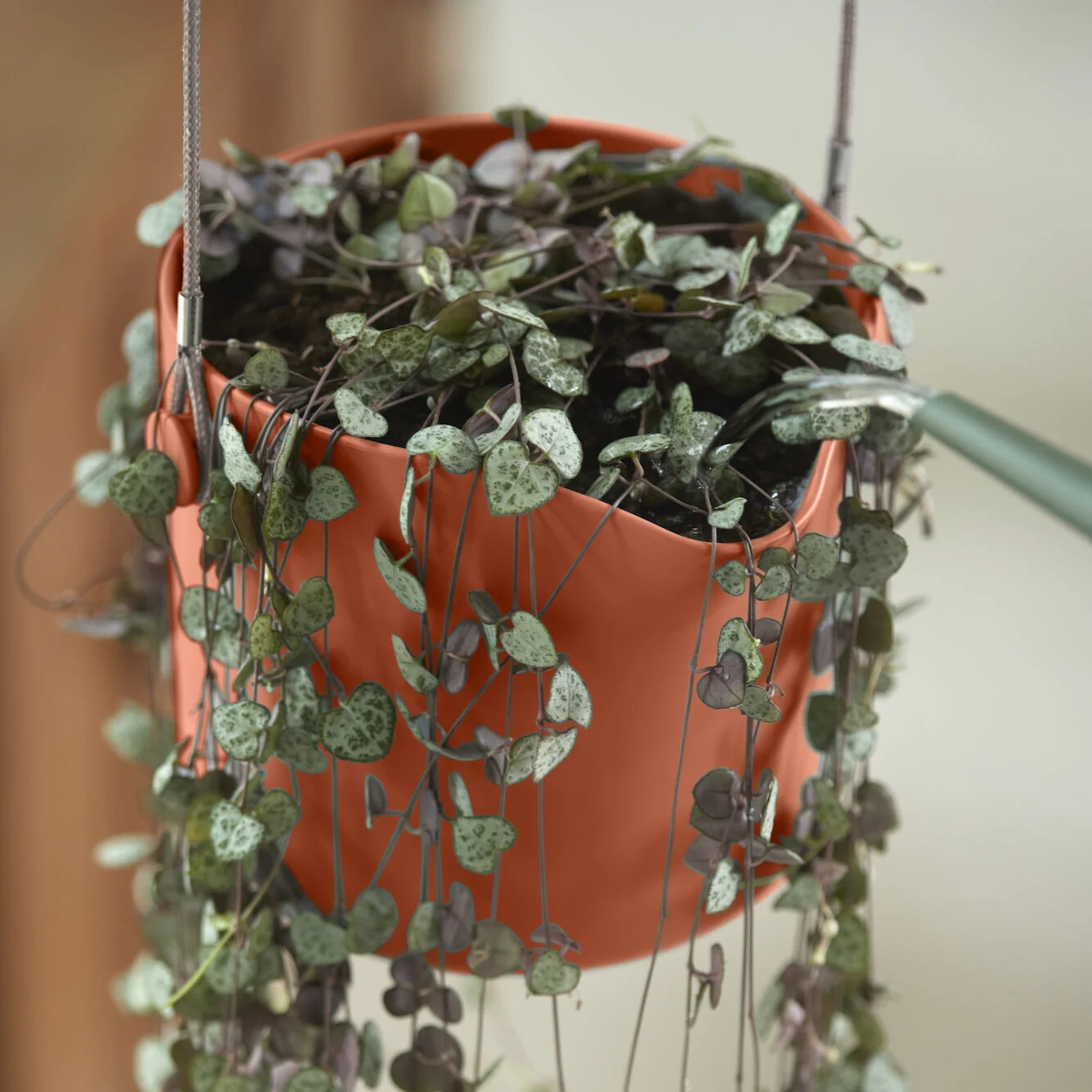 Suspension B for swing terracotta ELHO - Image 7