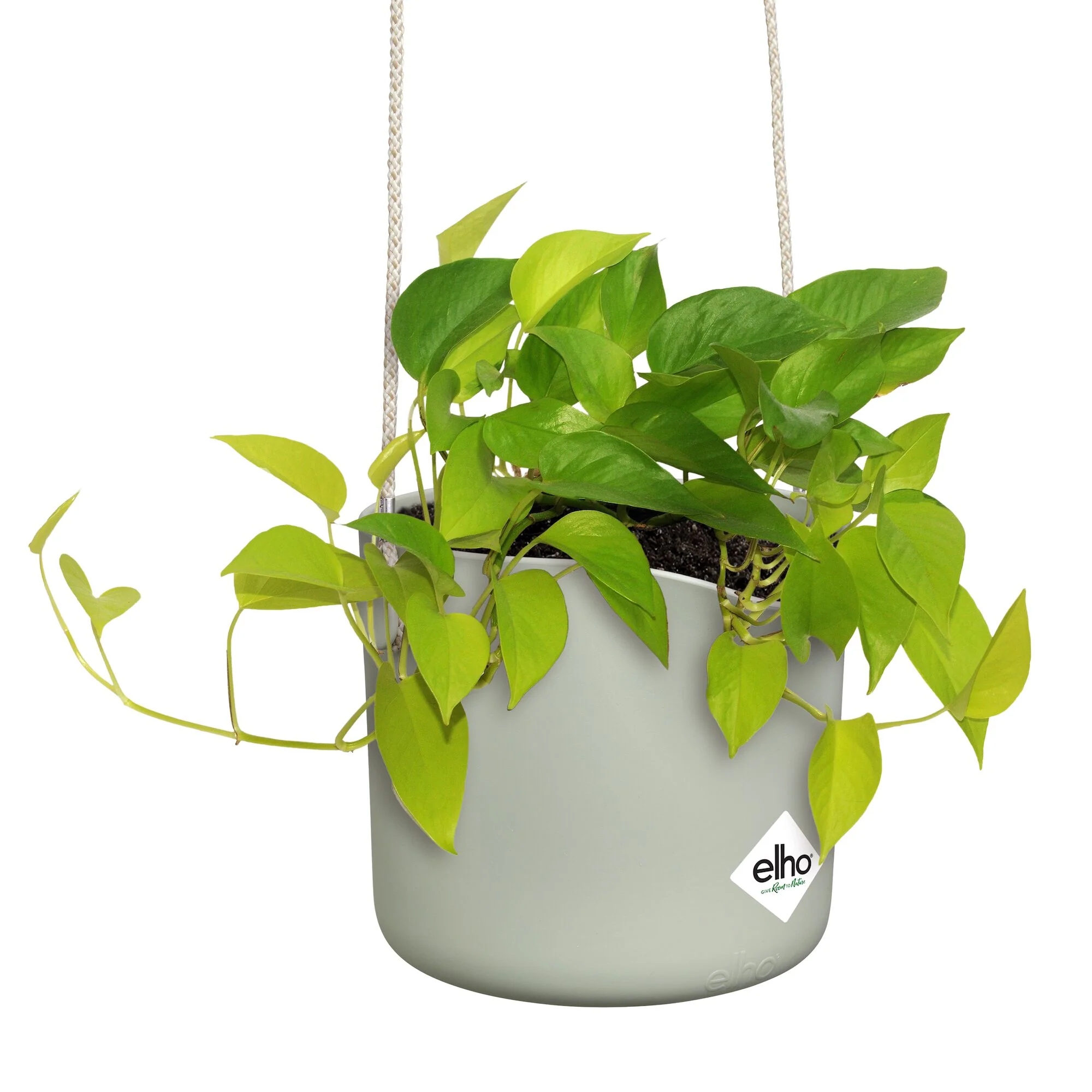 Suspension B for swing vert clair ELHO - Image 6
