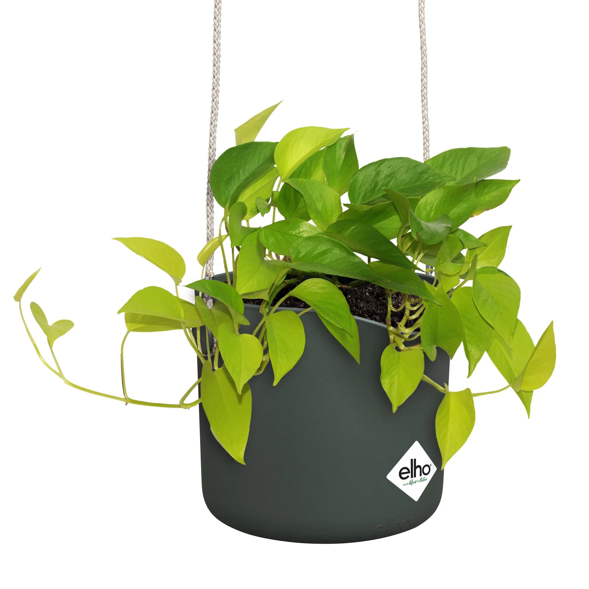 Suspension B for swing vert ELHO - Image 6