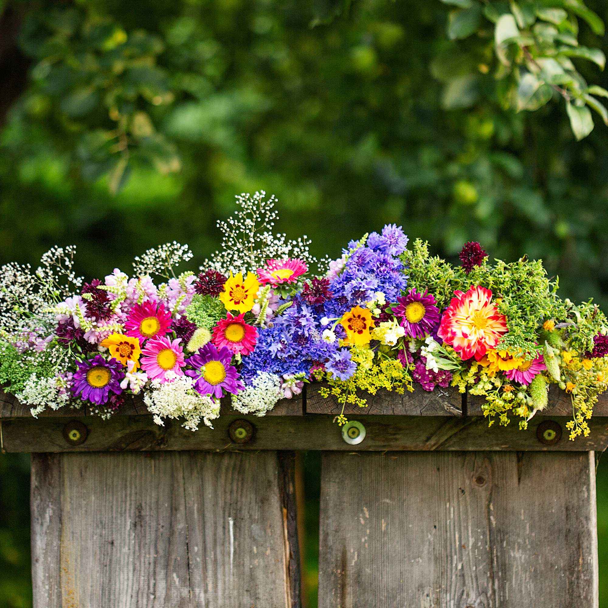 Tapis de fleurs pour jardinière - Image 3