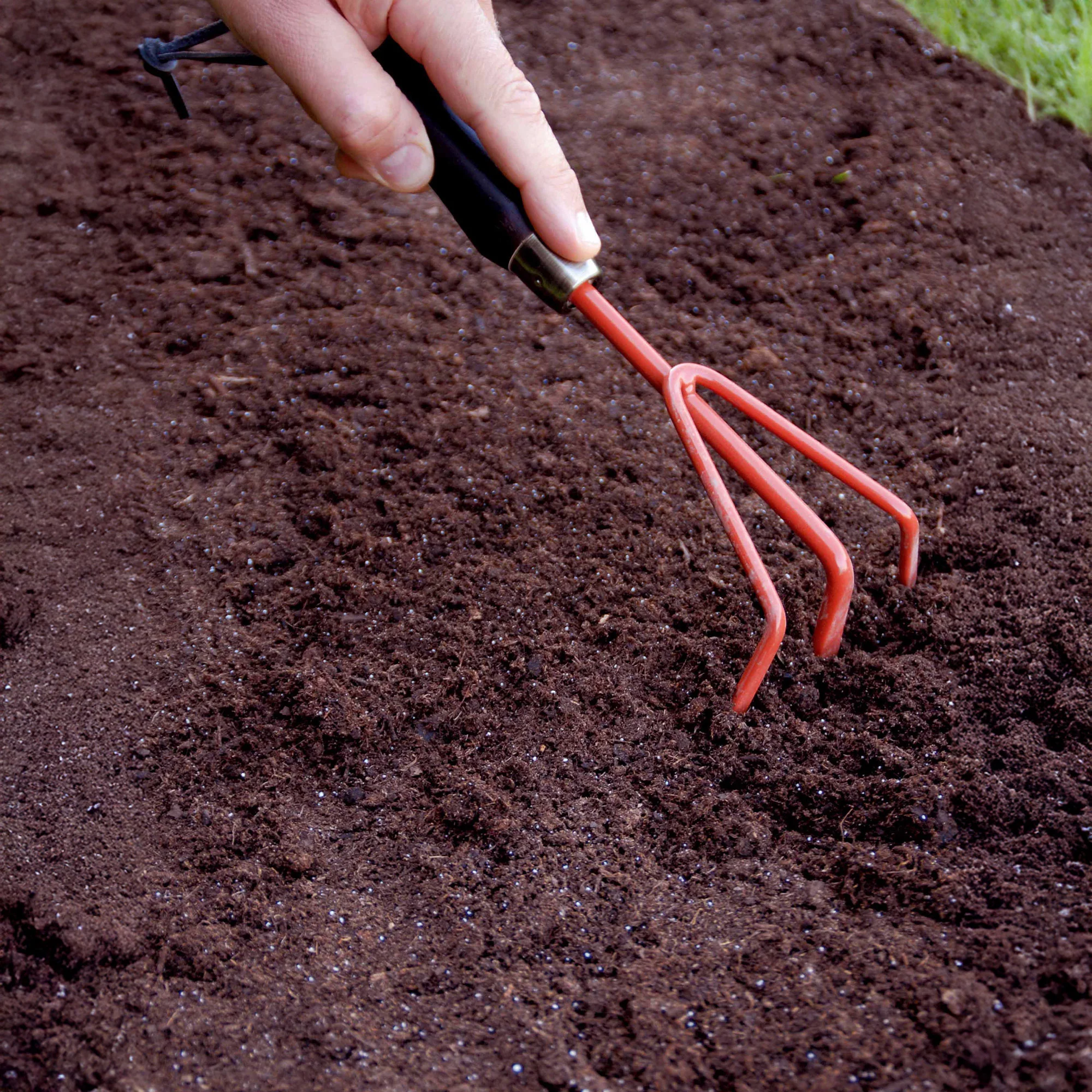 Tapis de fleurs spécial jardinières - Image 4