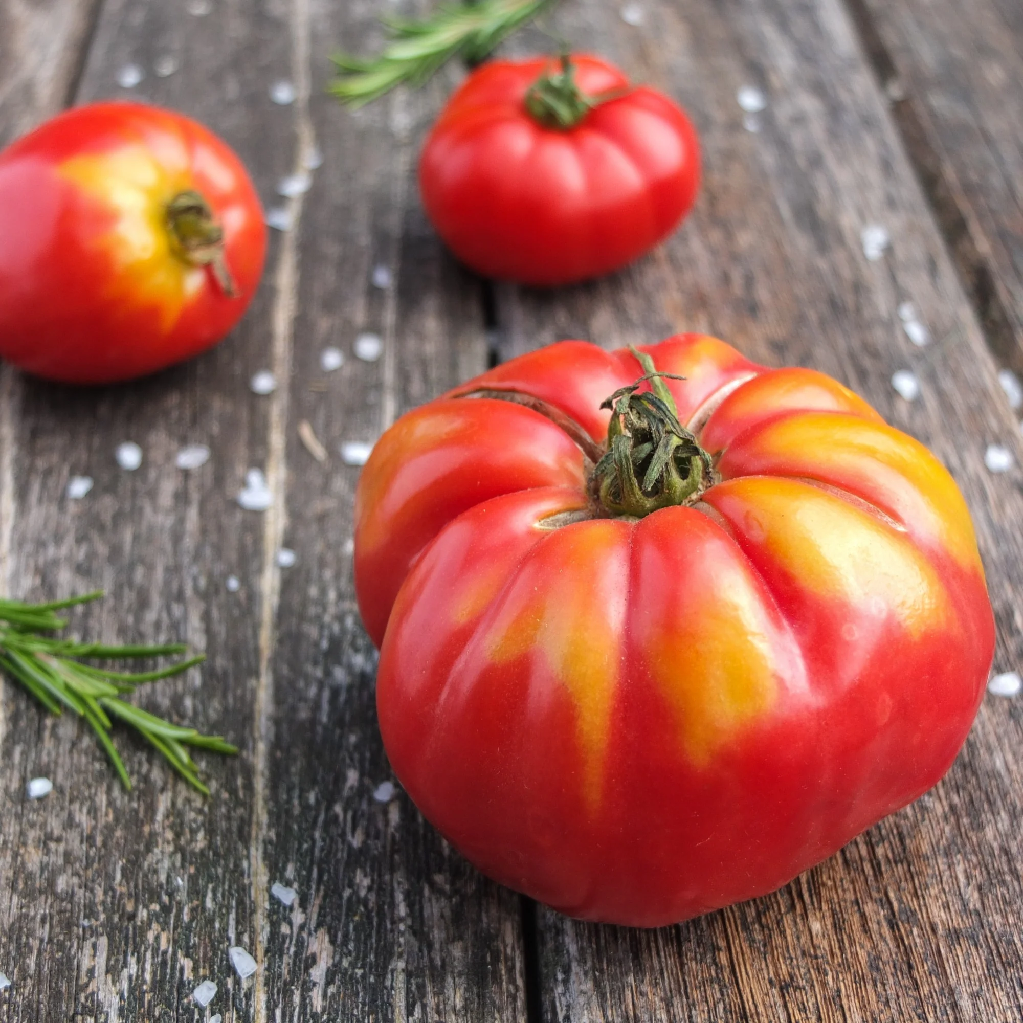 Tomate à très gros fruits Marmande - Image 2