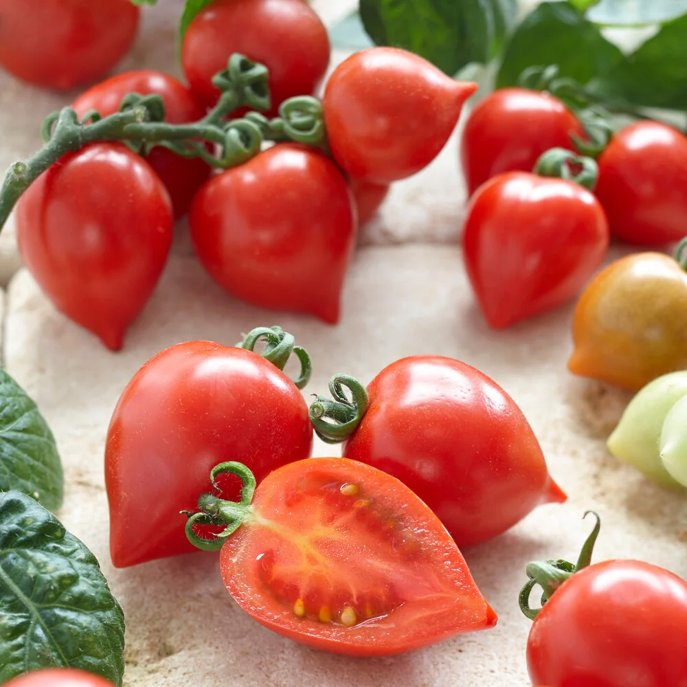 Tomate cerise Coeur d'amour - Image 2