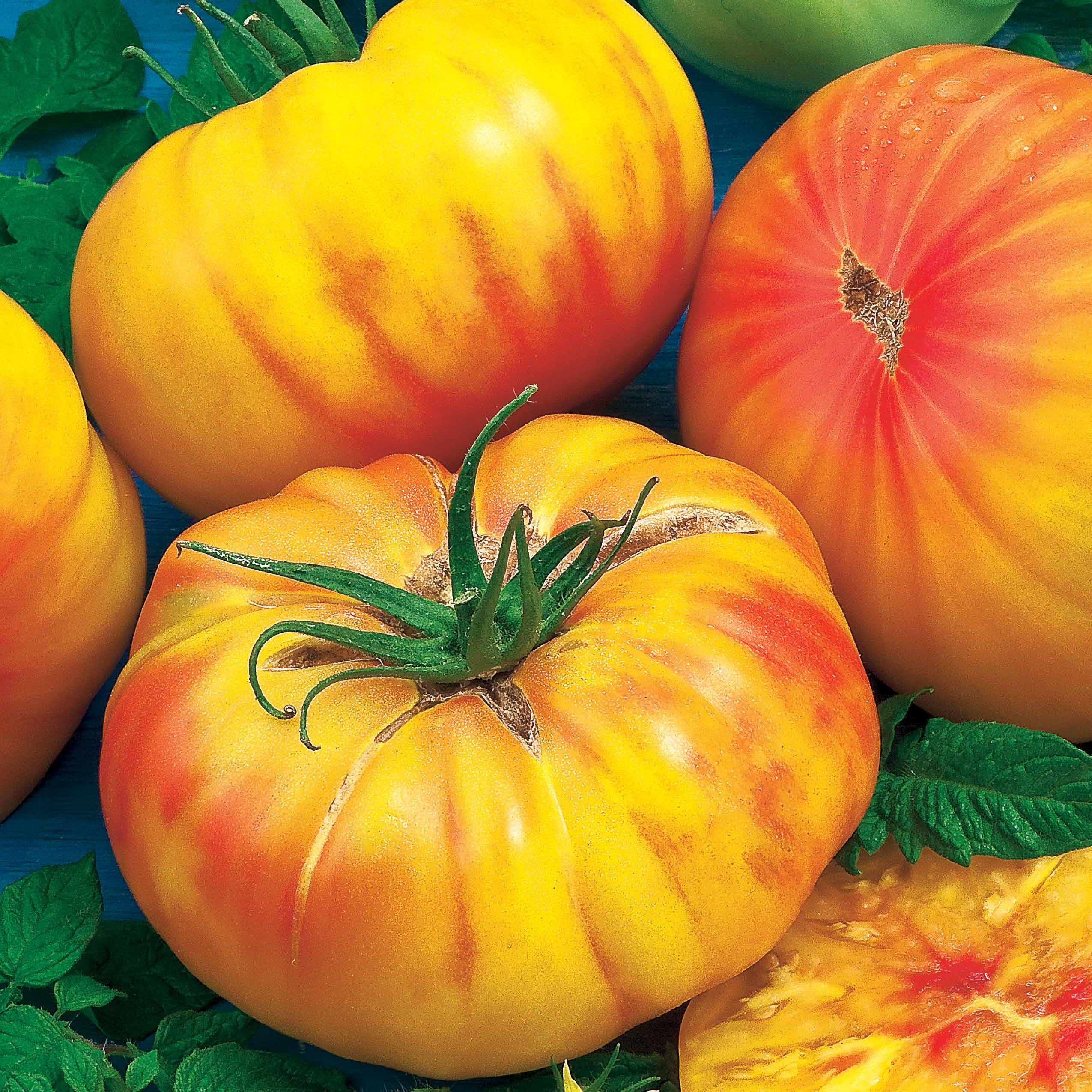 Tomate de collection Ananas - Image 3