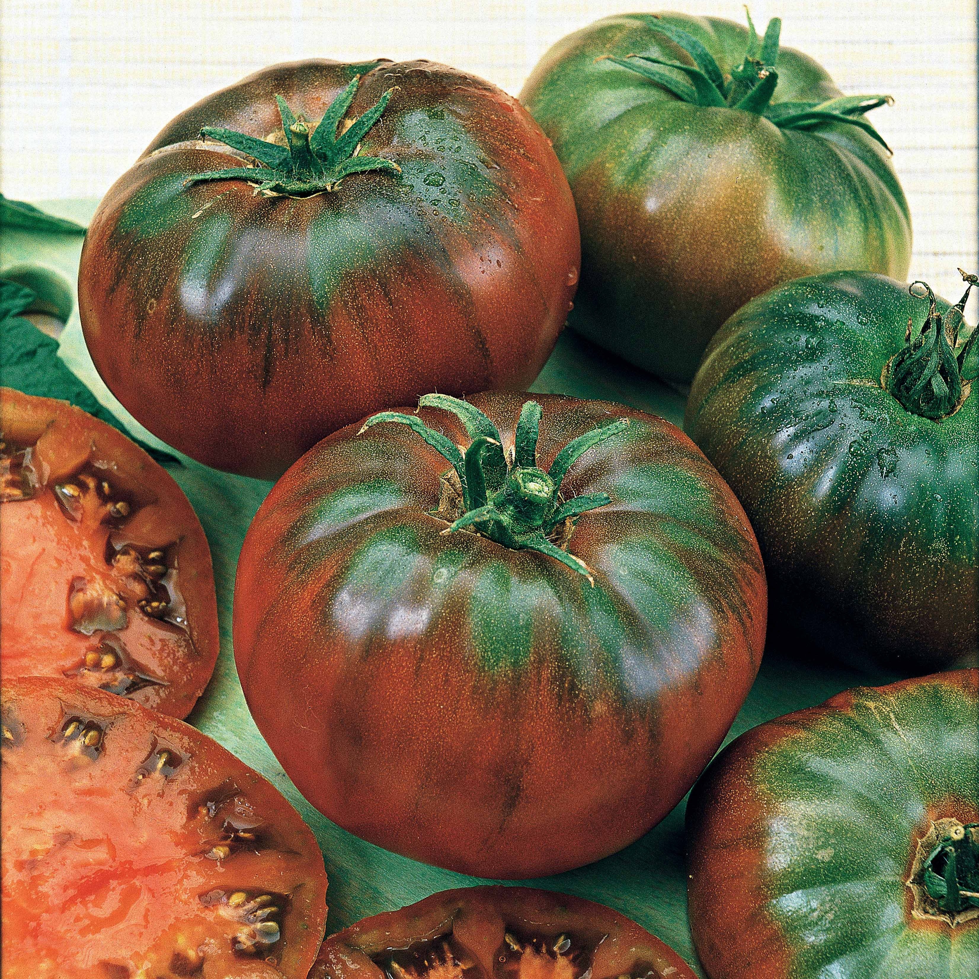 Tomate Noire russe - Image 5