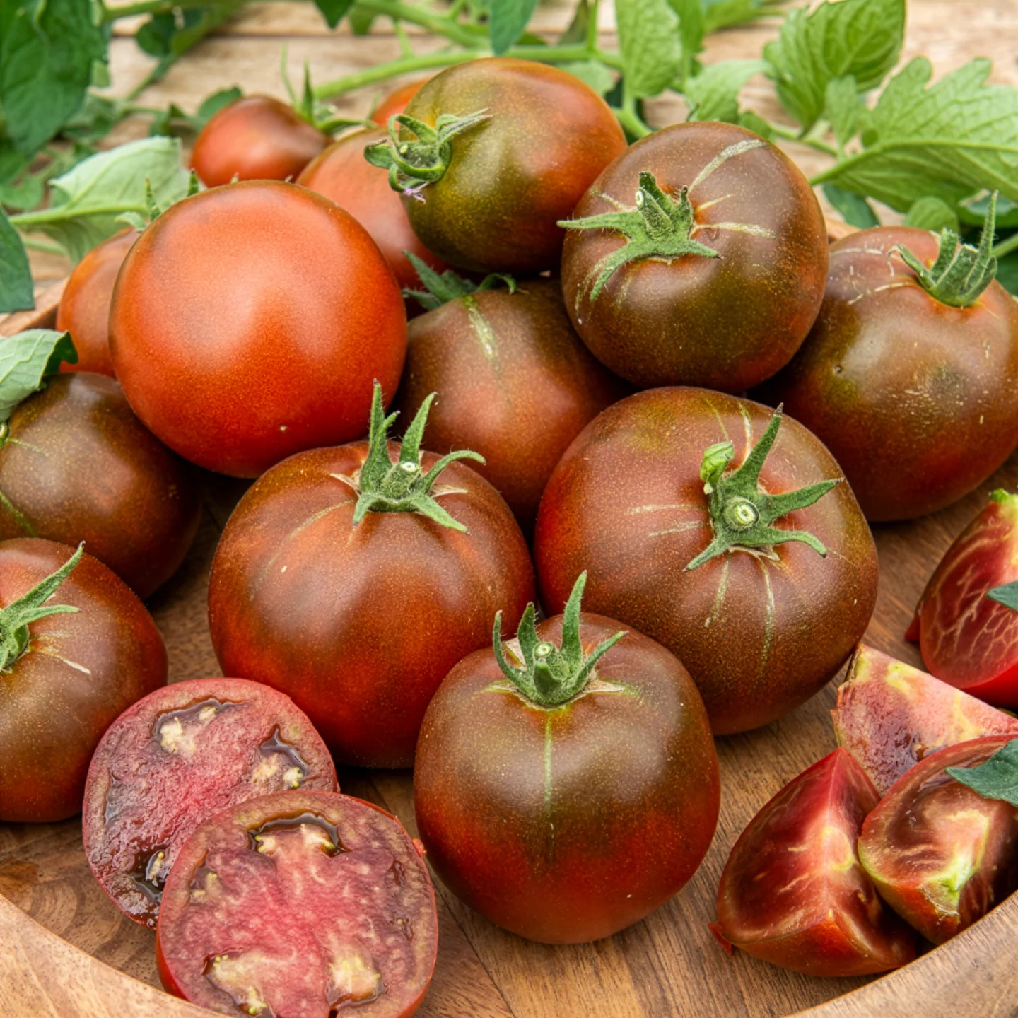 Tomate Noire russe - Image 6