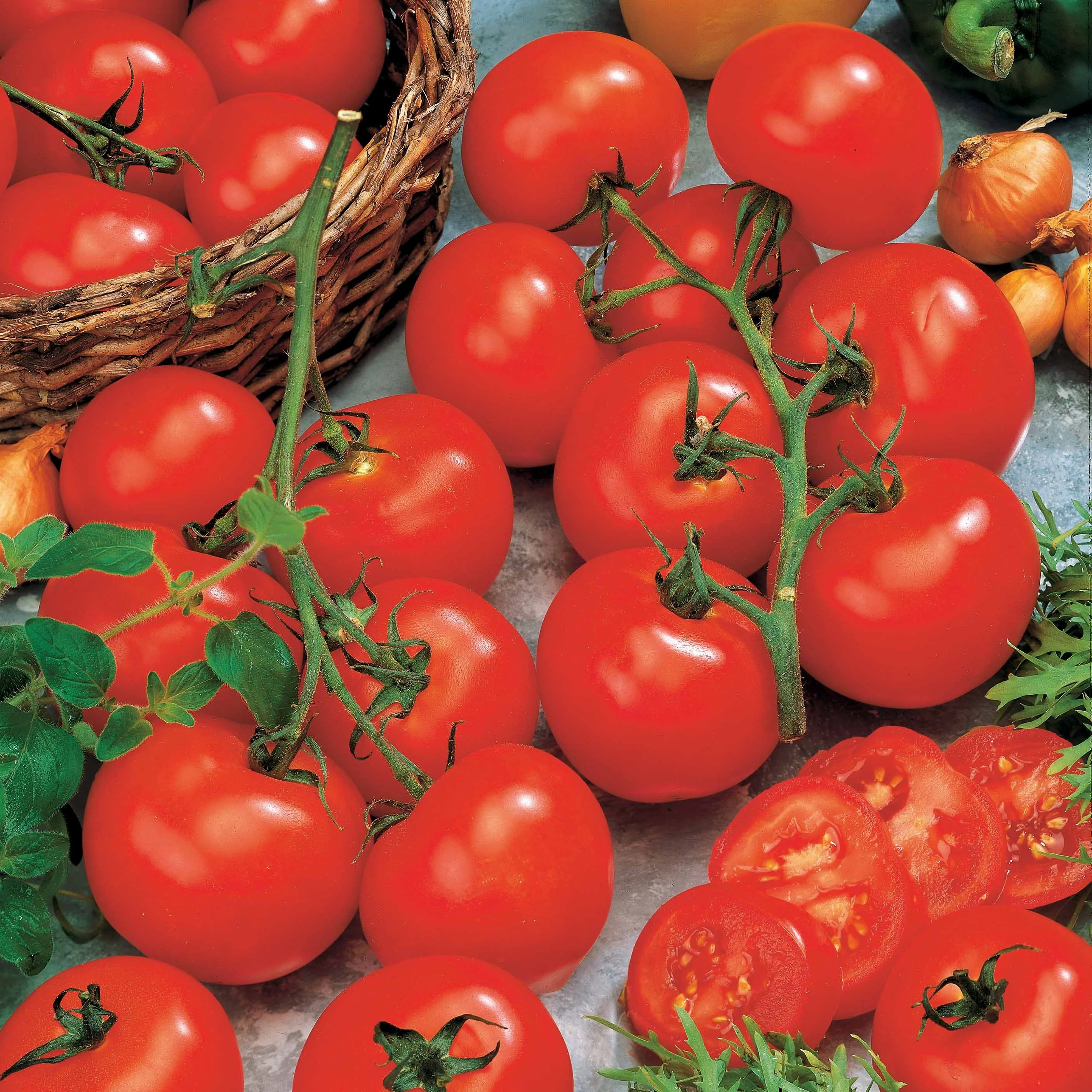 Tomate Vitador F1 - Image 2